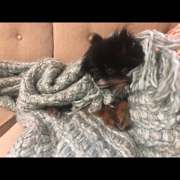 Meet your Posher, Dana - Picture 1 of 1